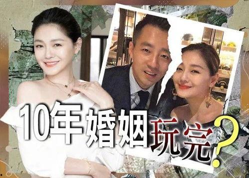 大s娱乐吃瓜,揭秘娱乐圈背后的真相与八卦